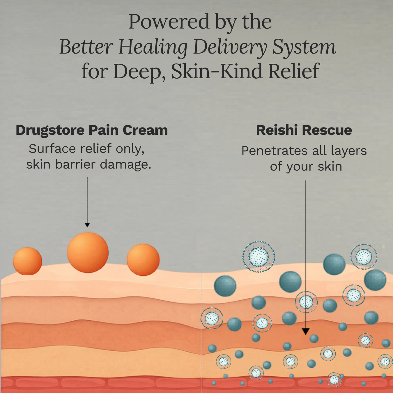 Reishi Rescue Relief Cream